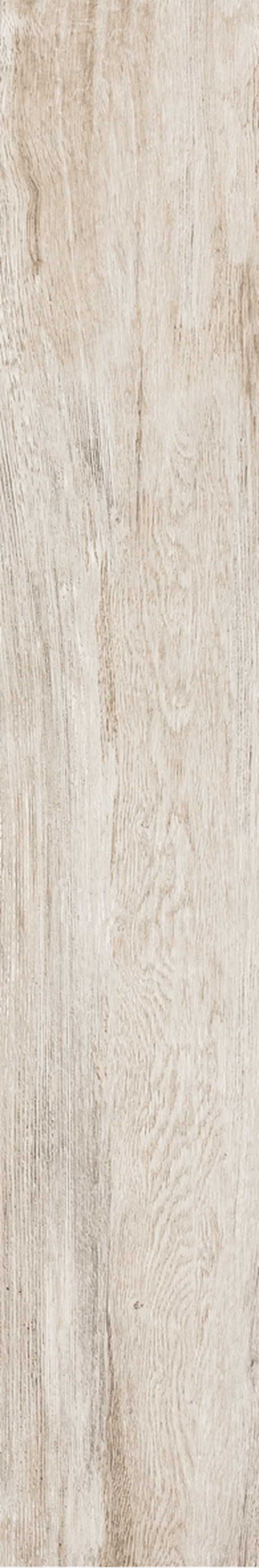 Porcellanato Magnolia Natural Portobello 20x120